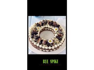 Le_nostre_torte
